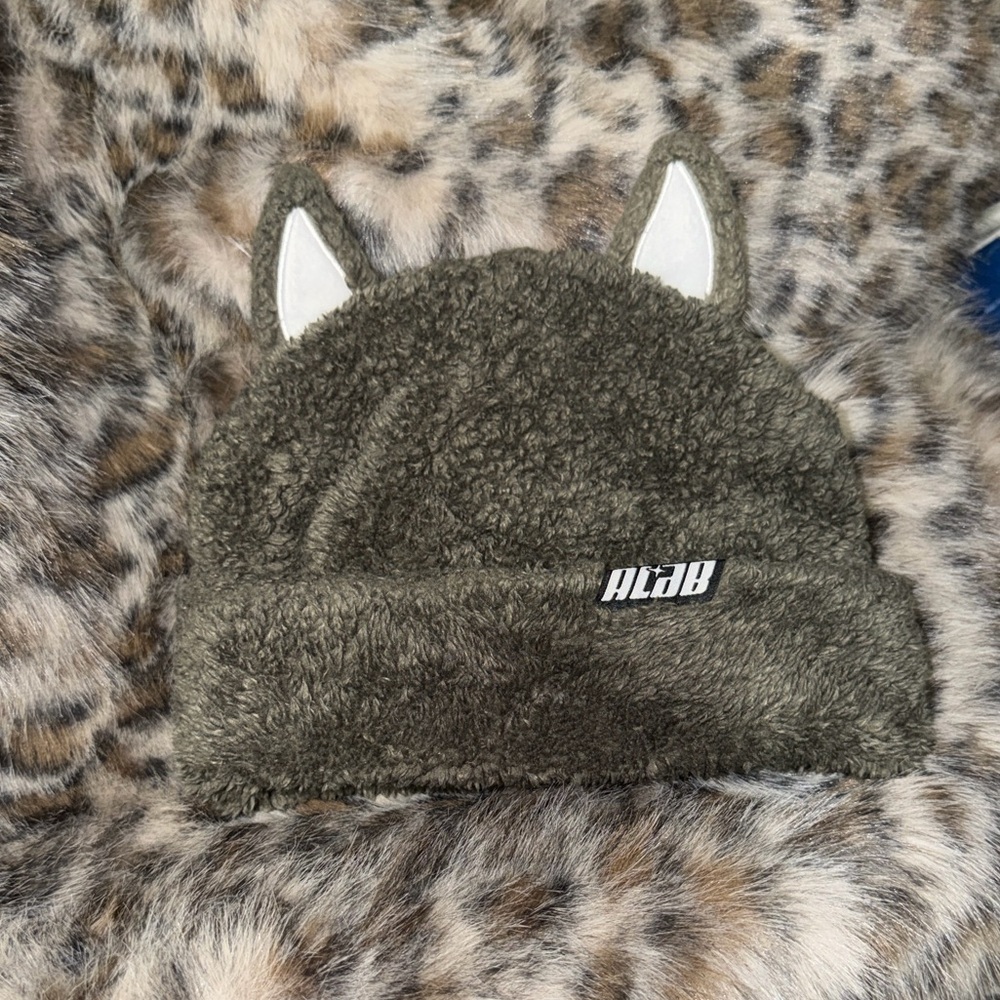 Gray cat zumies beanie  Hat with Ears